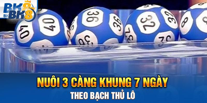 Nuôi 3 càng khung 7 ngày theo bạch thủ lô